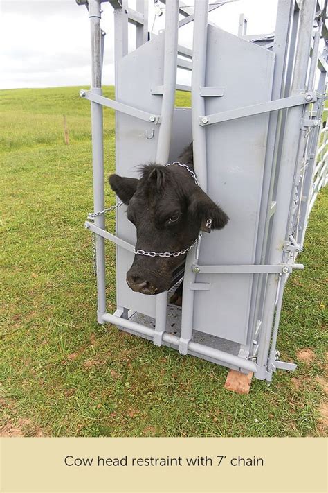 Talk To An Expert Now. . Used cattle head gate craigslist near me